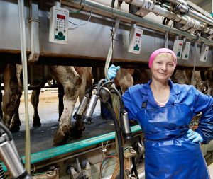 dairy milk cow equipment farm insurance