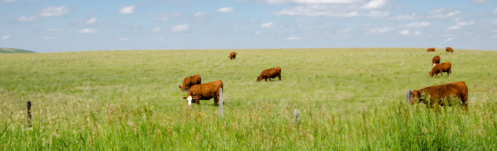 Hobby Farm Insurance Assessment Checklist