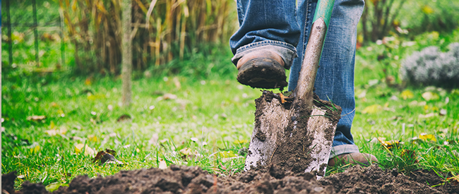 Introduction aux risques d'assurance dans les exploitations agricoles artisanales